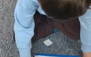 1000066462