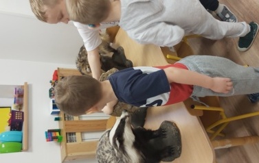 20260211_094300