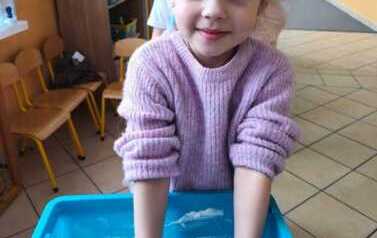 IMG-20260211-WA0041