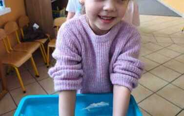 IMG-20260211-WA0040