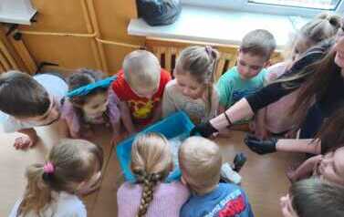 IMG-20260211-WA0029