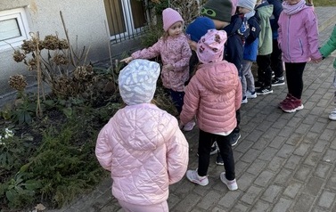 IMG_8149