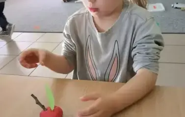 1000017933