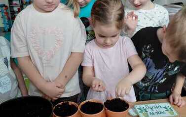 IMG-20260326-WA0036