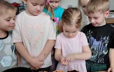IMG-20260326-WA0034