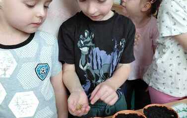 IMG-20260326-WA0019