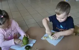 1000064108