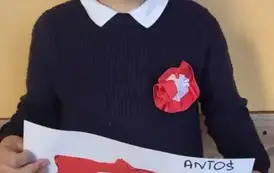 1000065264