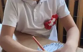 1000065253