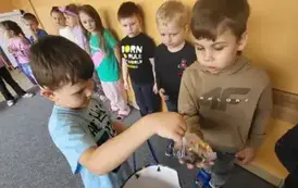 1000066275