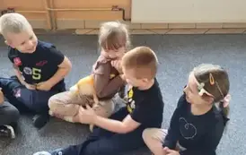 1000066434