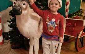 IMG-20251203-WA0015