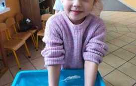 IMG-20260211-WA0041