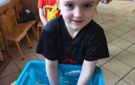 IMG-20260211-WA0036