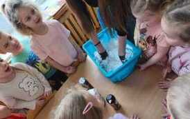 IMG-20260211-WA0031