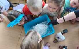 IMG-20260211-WA0030