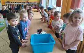 IMG-20260211-WA0019