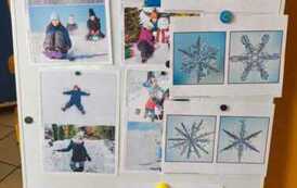 IMG-20260211-WA0014