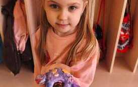 IMG-20260226-WA0028