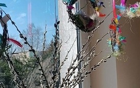 825855c2-6b31-4b18-96d0-b640bd886113 (1)