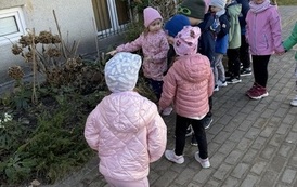 IMG_8149
