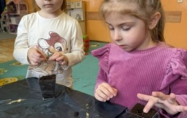 IMG_8194