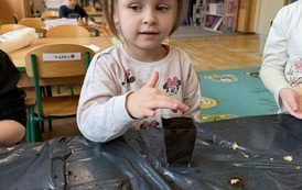 IMG_8192
