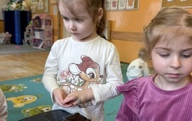 IMG_8191