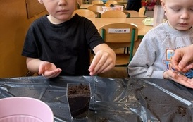 IMG_8185