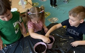 IMG_8179