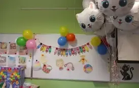 1000018529