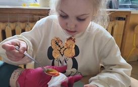 IMG_20260403_111341