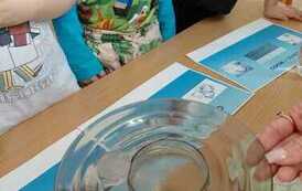 IMG-20260220-WA0008