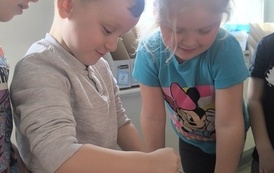 IMG_20260227_103658