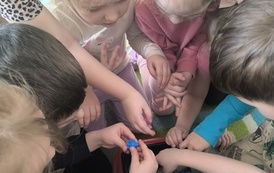 IMG_20260220_103420