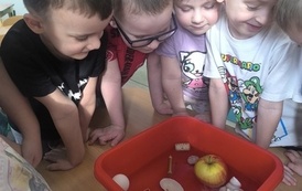 IMG_20260227_094128