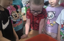 IMG_20260227_093953