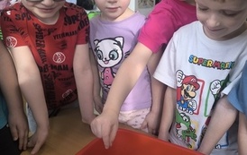 IMG_20260227_093937