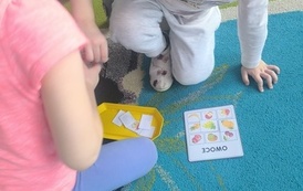 IMG_20260225_084748