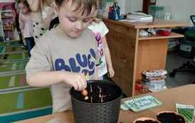 IMG-20260326-WA0011