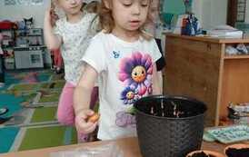 IMG-20260326-WA0009