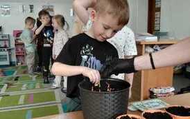 IMG-20260326-WA0007