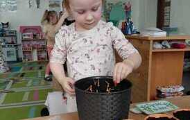 IMG-20260326-WA0002