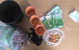 IMG_20260326_085707