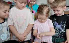 IMG-20260326-WA0034