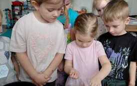 IMG-20260326-WA0033