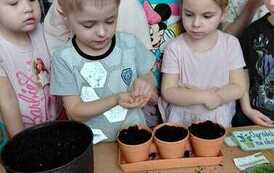 IMG-20260326-WA0031(1)