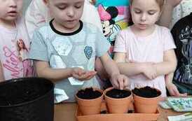 IMG-20260326-WA0029