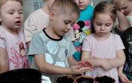 IMG-20260326-WA0028