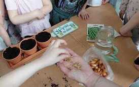 IMG-20260326-WA0025